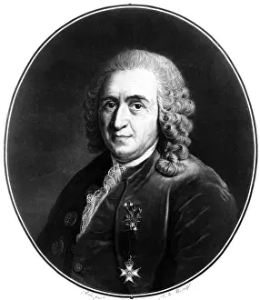 Linne: Carl von Linne