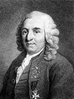 Linne: Carl von Linne