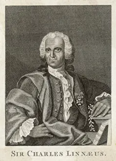 Linne: CARL VON LINNE known as LINNAEUS