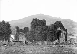 Louth: Carlingford Abbey