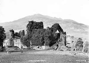 Louth: Carlingford Abbey