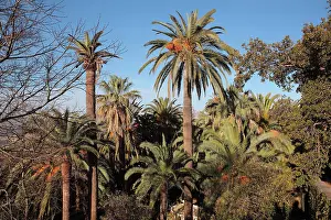 Martires: Carmen de los Martires Garden, Granada, Andalusia, Spain