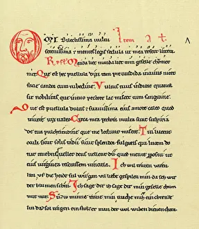 Schmeller: CARMINA BURANA 13TH C