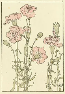 Pochoir: Carnation