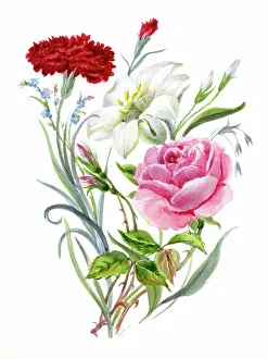 Forget Me Not: Carnation, forget-me-not, rose and lily