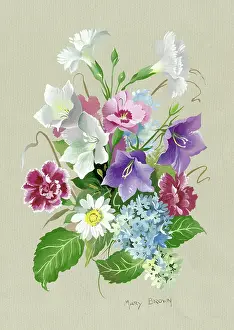 Carnations: Carnations, campanula etc
