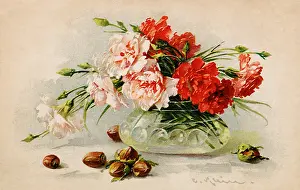 Klein: Carnations and Wood Nuts