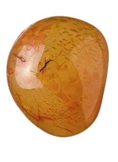 Chalcedony: Carnelian