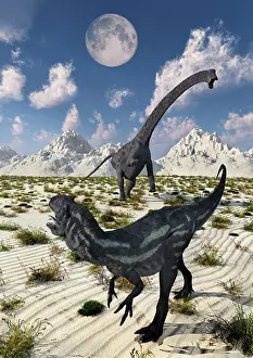 Defending: A carnivorous Allosaurus confronting a giant Diplodocus