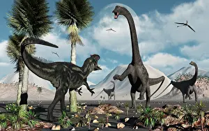 Prowling: A carnivorous Allosaurus confronts a giant Diplodocus ?