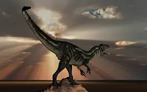 Rays: A carnivorous Allosaurus dinosaur from Earth's