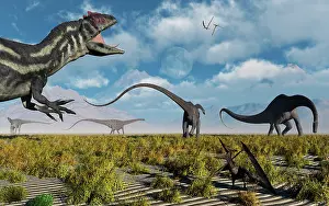 Prowling: A carnivorous Allosaurus stalking a herd of Diplodocus ?