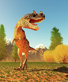 Ceratosaurus: A carnivorous Ceratosaurus dinosaur from the Jurassic