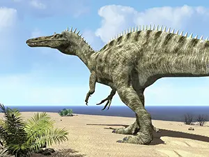Tethys: A carnivorous Suchomimus wanders a beach on the ancient ?