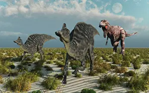 Tyrannosaurus: A carnivorous T-rex chasing a pair of Velafrons dinosaurs