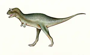 Carnotaurus: Carnotaurus
