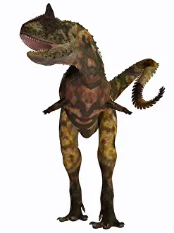 Carnotaurus: Carnotaurus dinosaur