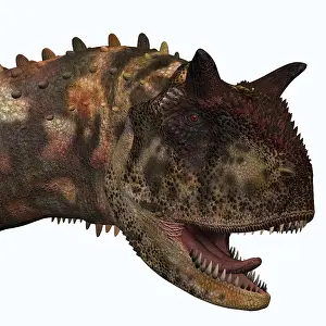 Carnotaurus: Carnotaurus dinosaur