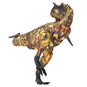 Terrible: Carnotaurus dinosaur