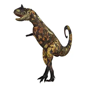 Terrible: Carnotaurus dinosaur