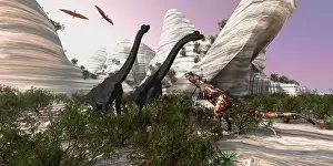 Terrible: A Carnotaurus dinosaur approaches two Brachiosaurus for a ?