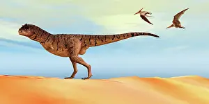 Pteranodon: A Carnotaurus dinosaur hunting for his prey while