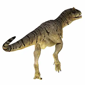 Ceratosaur: Carnotaurus dinosaur, rear view