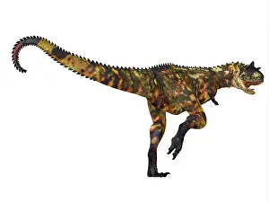 Spiked: Carnotaurus dinosaur running away, on white background