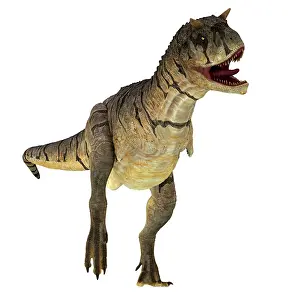 Terrible: Carnotaurus dinosaur, front view
