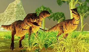 Ceratosaur: Carnotaurus dinosaurs hunting for food during