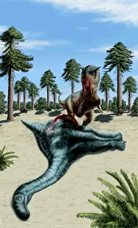 Carnotaurus: A Carnotaurus eating the flesh of a dead Chubutisaurus