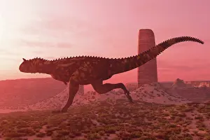 Carnotaurus: Carnotaurus running in the early morning light on desert ?