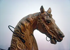 Fench: Carousel Horse