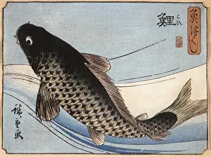 Swims: A Carp, by Hiroshige