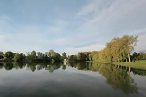 Carp Pond, Chateau de Fontainebleau, Ile de France, France