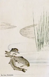 Carp: Three Carp in a pool by Maruyama Okyo