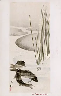 Carp: Three Carp in a pool by Maruyama Okyo