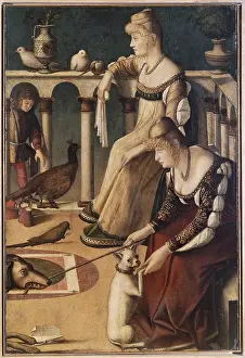 1455: Carpaccio, Vittore, (cir