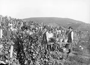 Ruthenia: Carpathian Ruthenia in 1930's