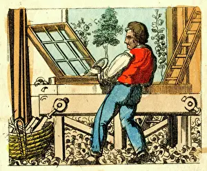 Carpenter: Carpenter at work