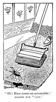 Sweeper: Carpet sweeper or Bissell wrongly identified