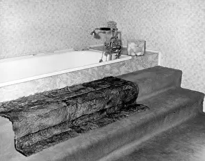 Incredibly: CARPETED BATHROOM