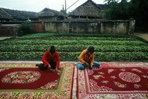 Cooperative: Carpets production in Vietnam, 1983
