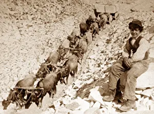 Carrara: Carrara Marble Quarry, Italy