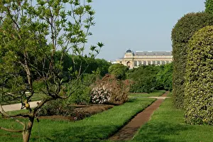 Xiiis: The Carres de la Perspective (the plots of perspective)