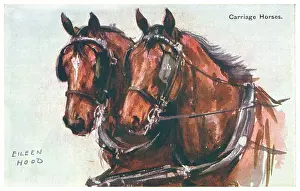 Geographia: Carriage Horses