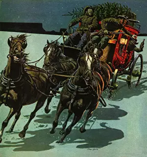 Celebratory: Carriage in Snow