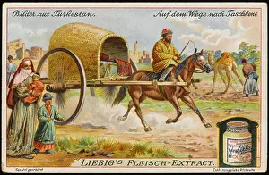 Tashkent: Carriage at Tashkent