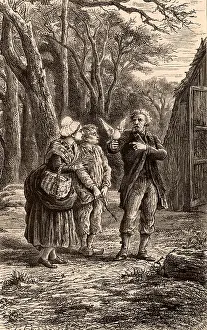 Pigeon: A carrier or homing pigeon being released. Engraving