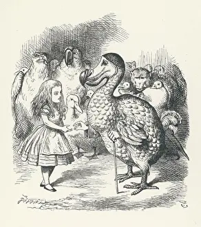 Dodo: Carroll - Alice and the Dodo